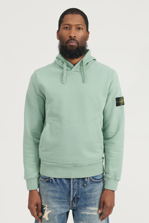 64120 Brushed Cotton Fleece Hooded Sweatshirt - Sage