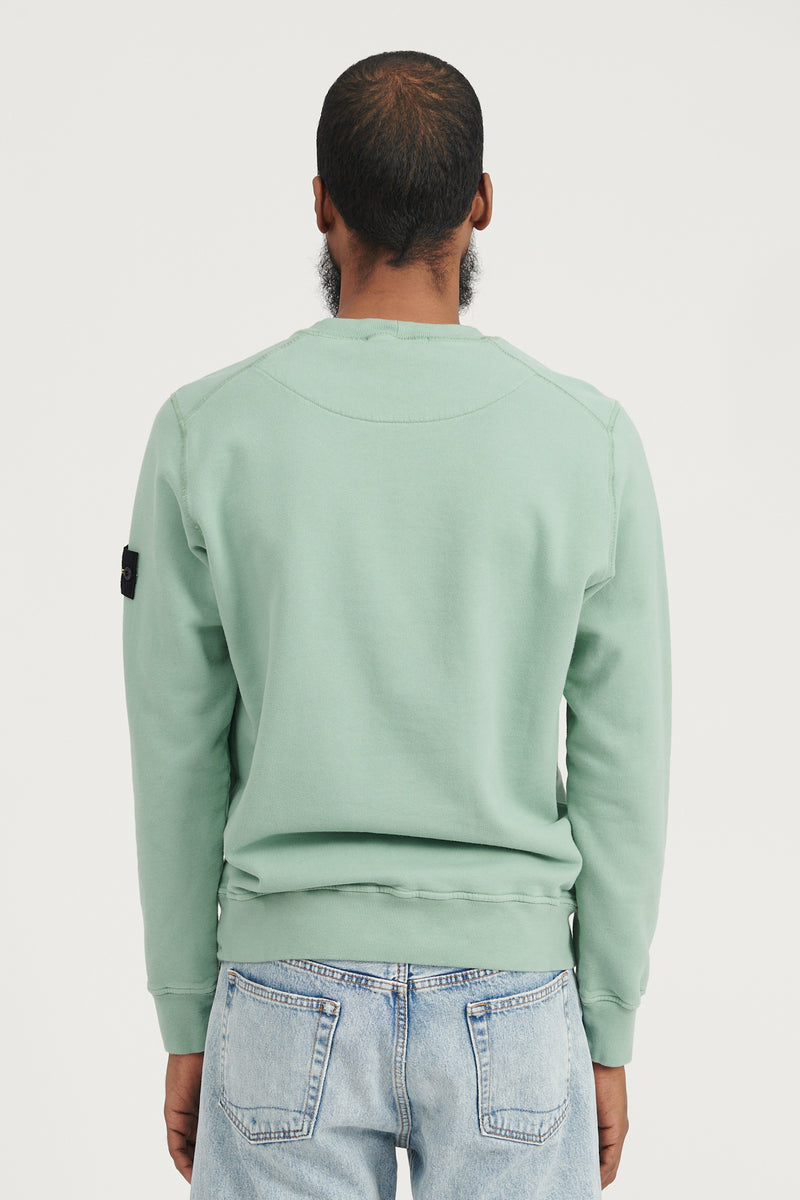 63020 Brushed Cotton Fleece Crewneck Sweatshirt FW22 - Sage