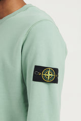 63020 Brushed Cotton Fleece Crewneck Sweatshirt FW22 - Sage